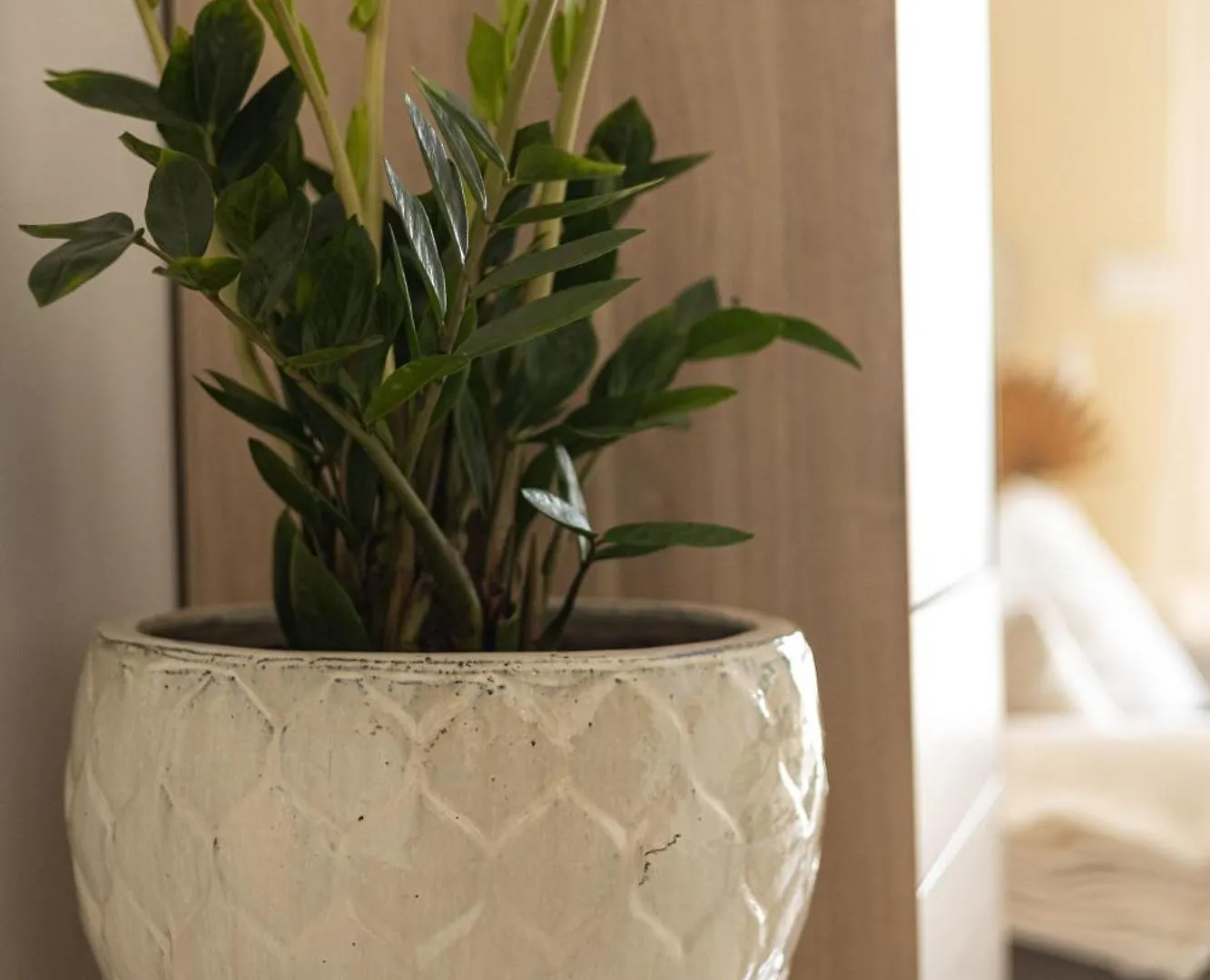 Dushi Townhouse Curacao Διαμέρισμα Βίλλεμσταντ Κουρασάο
